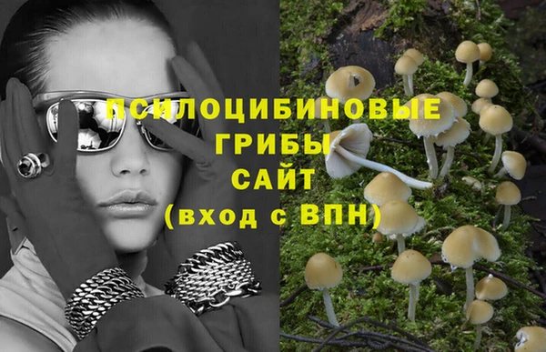 каннабис Алексеевка