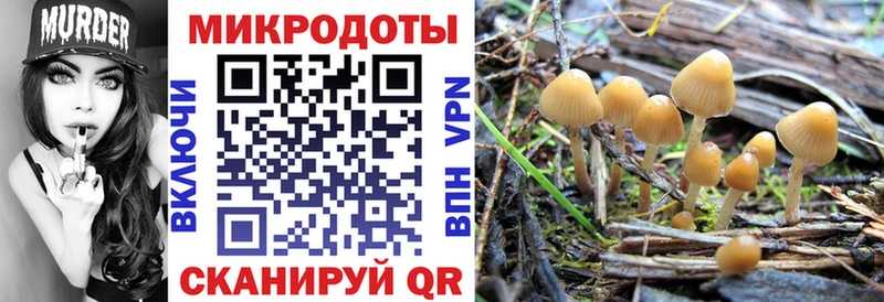Галлюциногенные грибы Psilocybine cubensis  blacksprut зеркало  Бахчисарай 